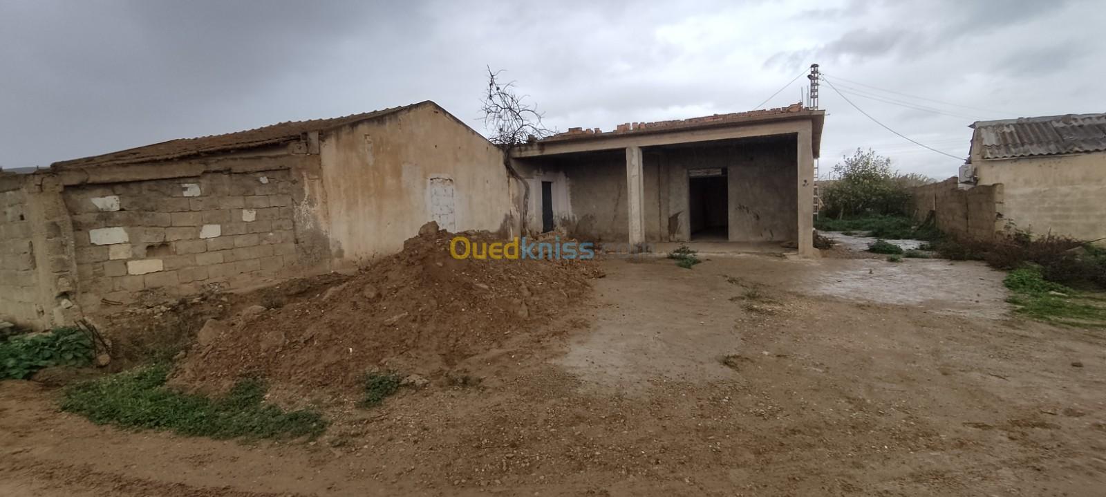 Vente Terrain Chlef Ouled fares