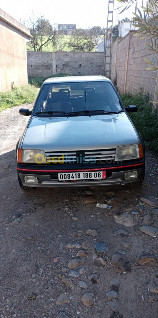 Peugeot 205 1988 Gti