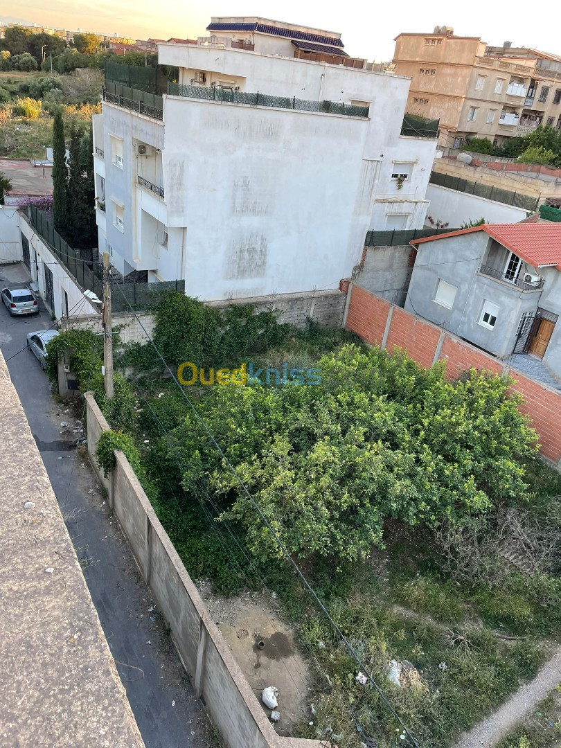 Vente Terrain Alger Draria