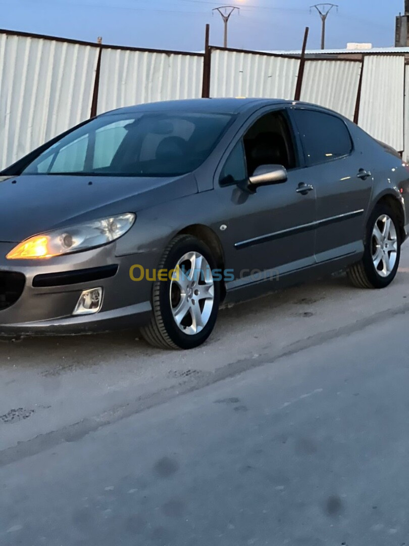 Peugeot 407 2005 407