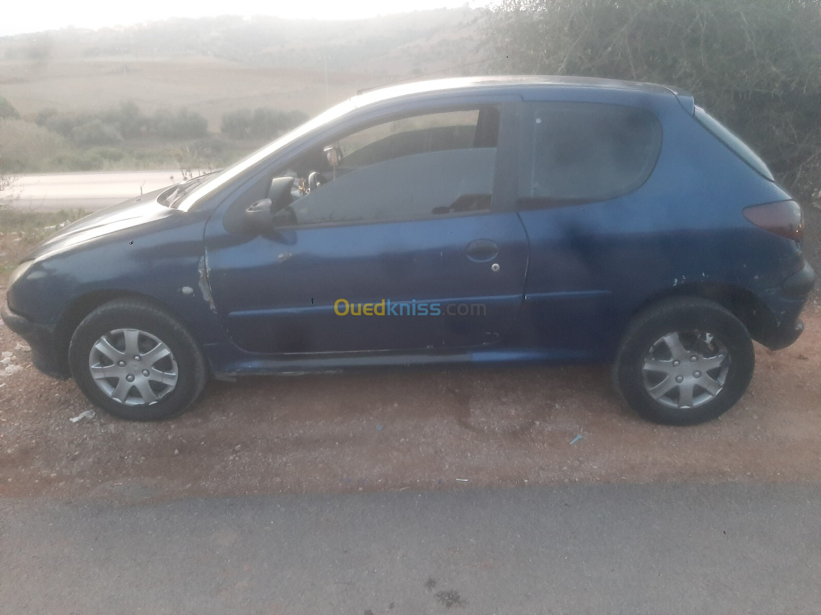 Peugeot 206 2001 0666269070