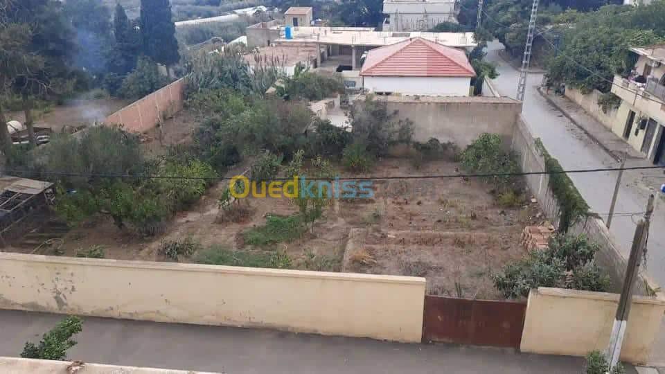 Vente Terrain Chlef Beni haoua