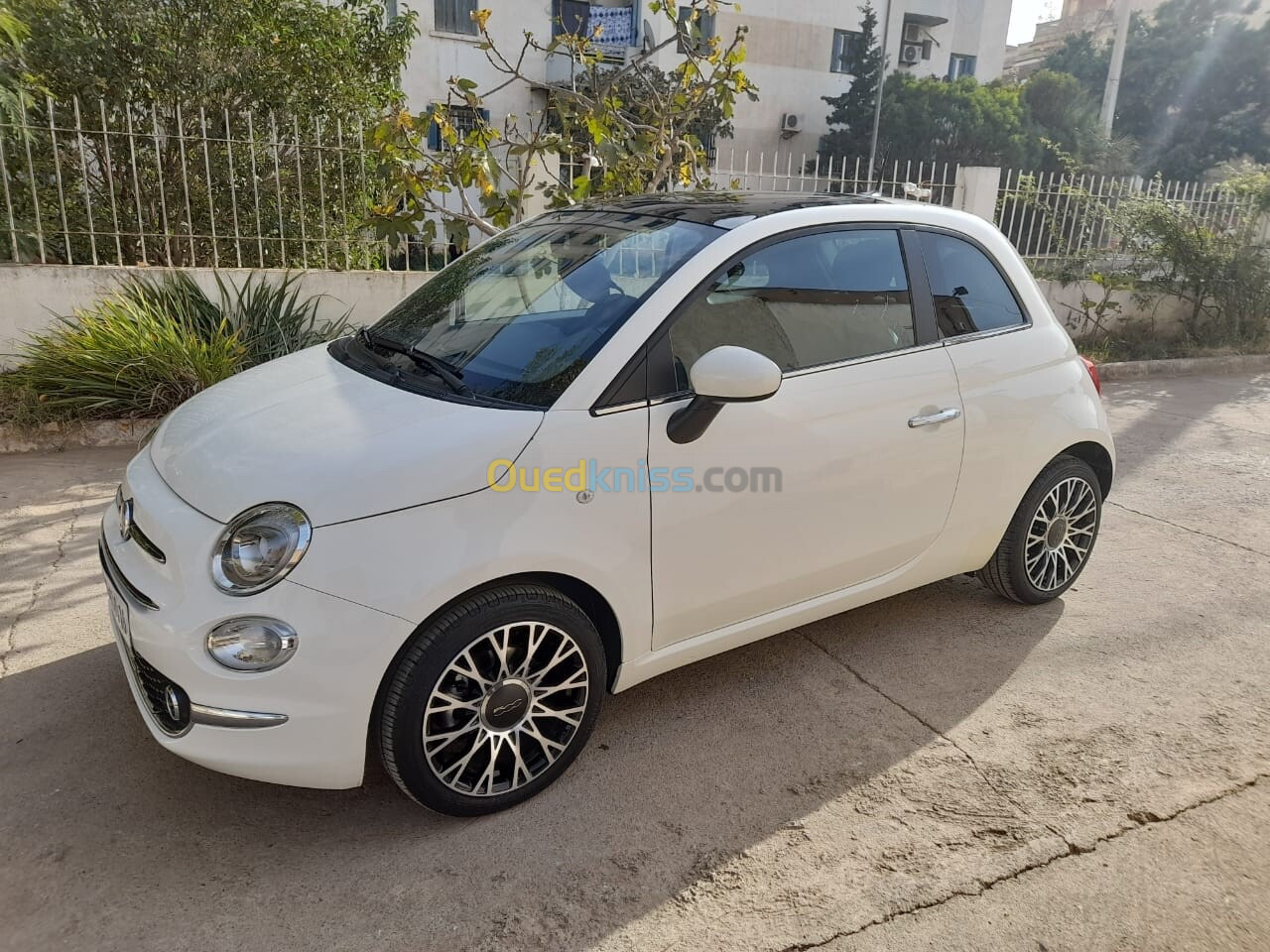 Fiat 500 2024 Tout