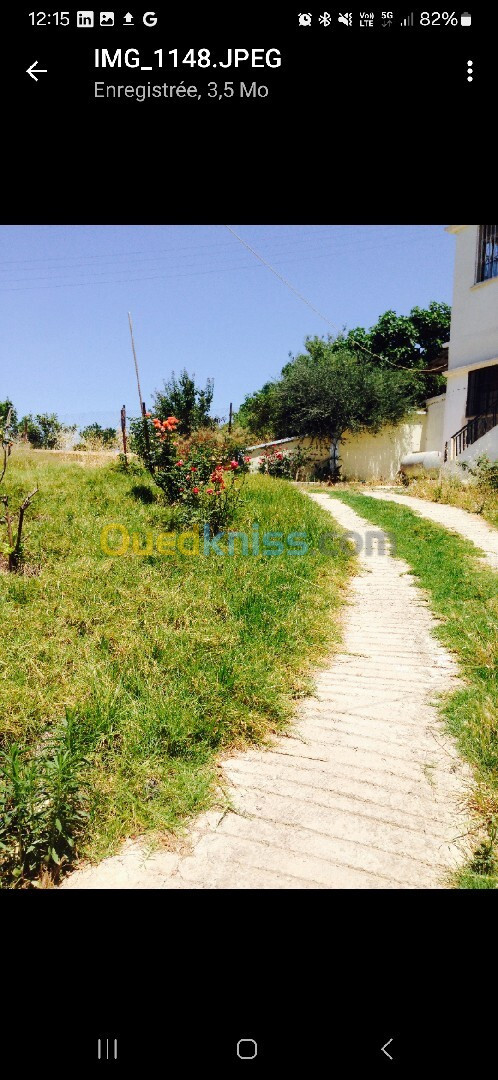 Vente Villa Blida Meftah