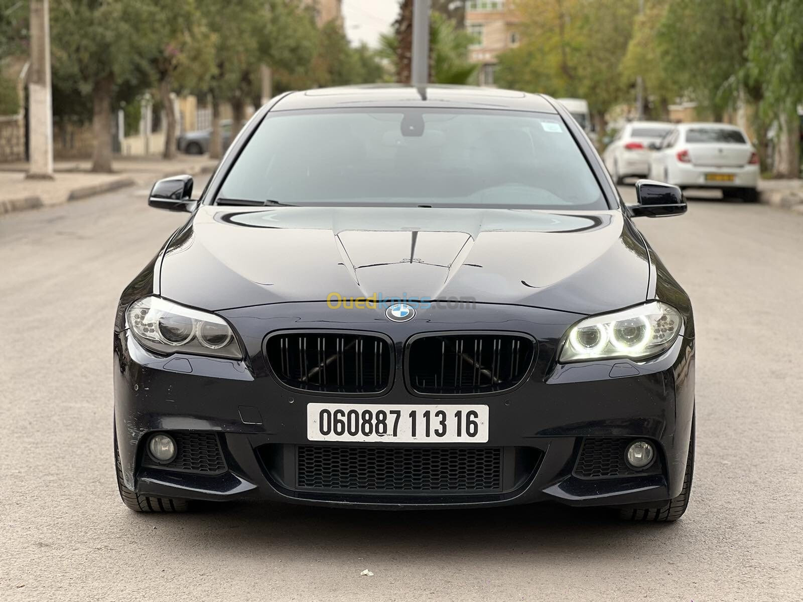 BMW Série 5 2013 525d sport