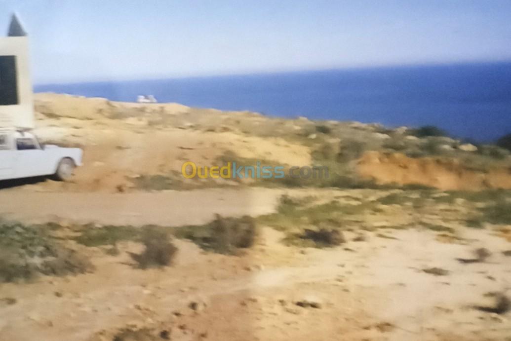 Vente Terrain Annaba Chetaibi