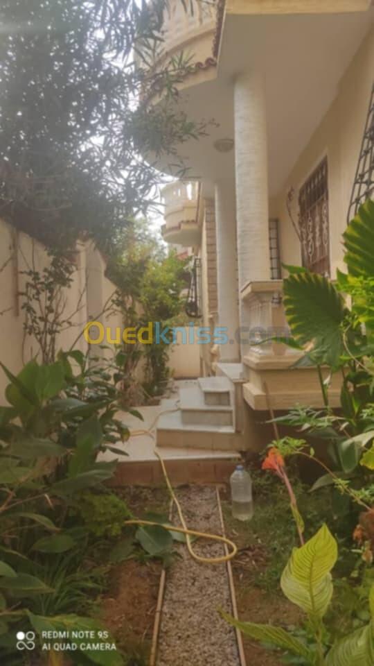 Vente Villa Alger El marsa