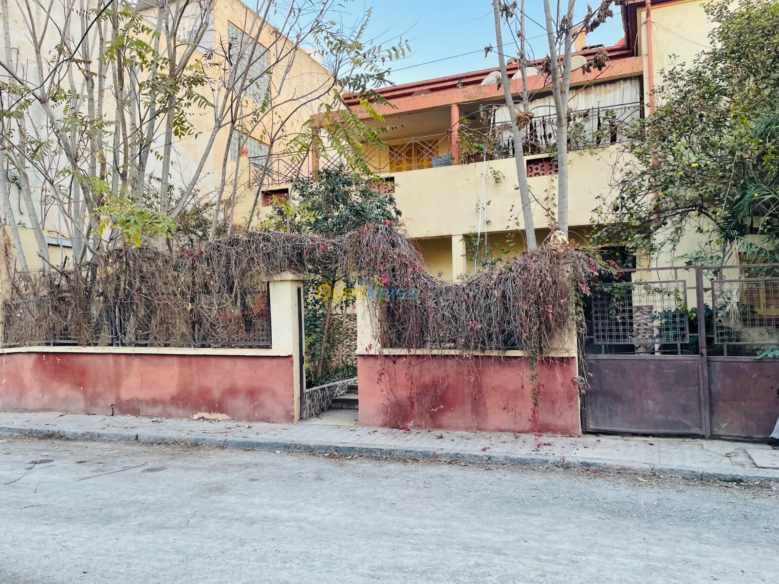 Vente Villa Sidi Bel Abbès Sidi bel abbes