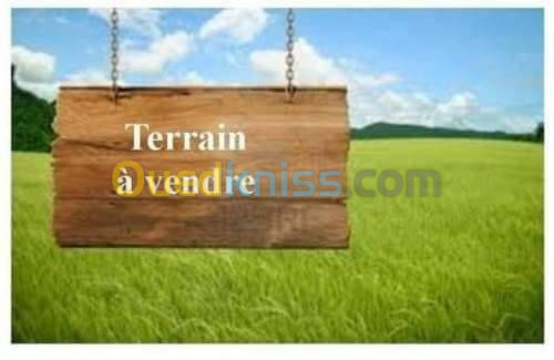 Vente Terrain Constantine Constantine