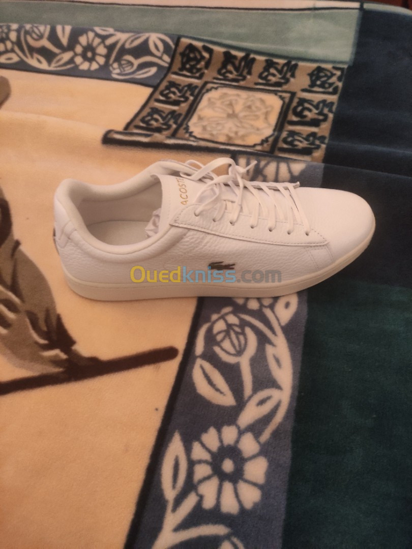 Ouedkniss chaussure cheap lacoste