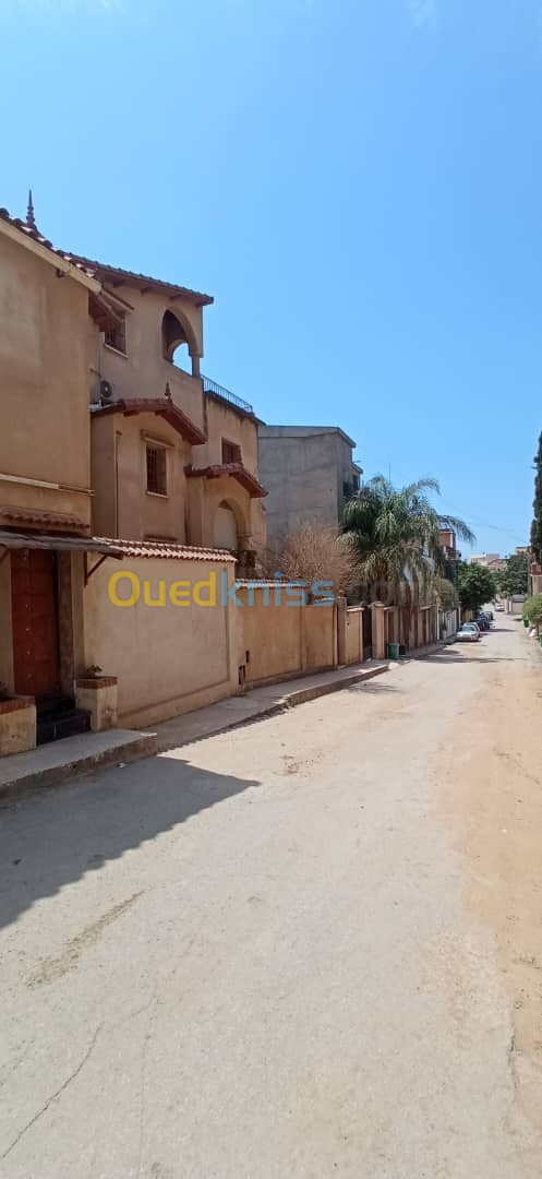 Vente Villa Alger Ouled fayet