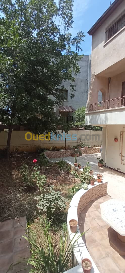 Vente Villa Alger Ouled fayet