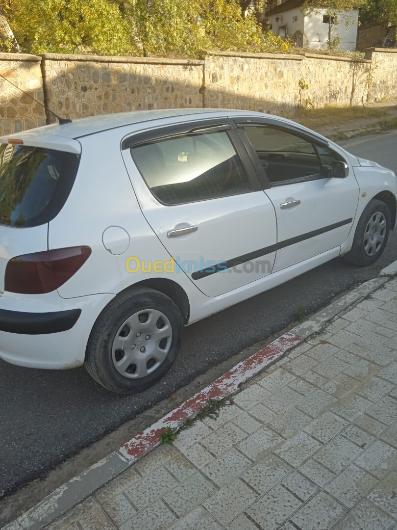 Peugeot 307 2001 307