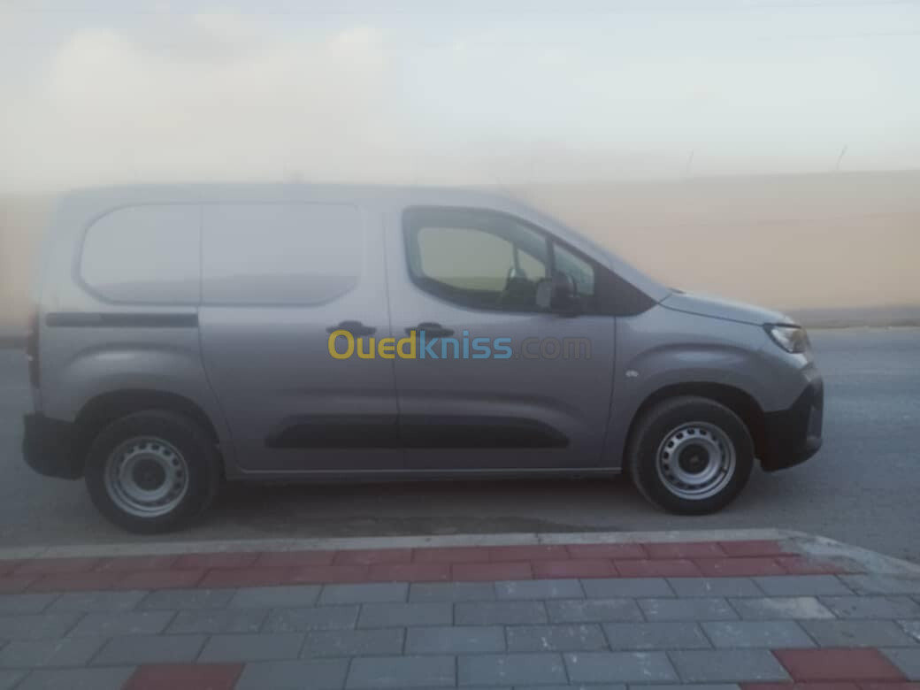 Fiat Doblo 2024 professional