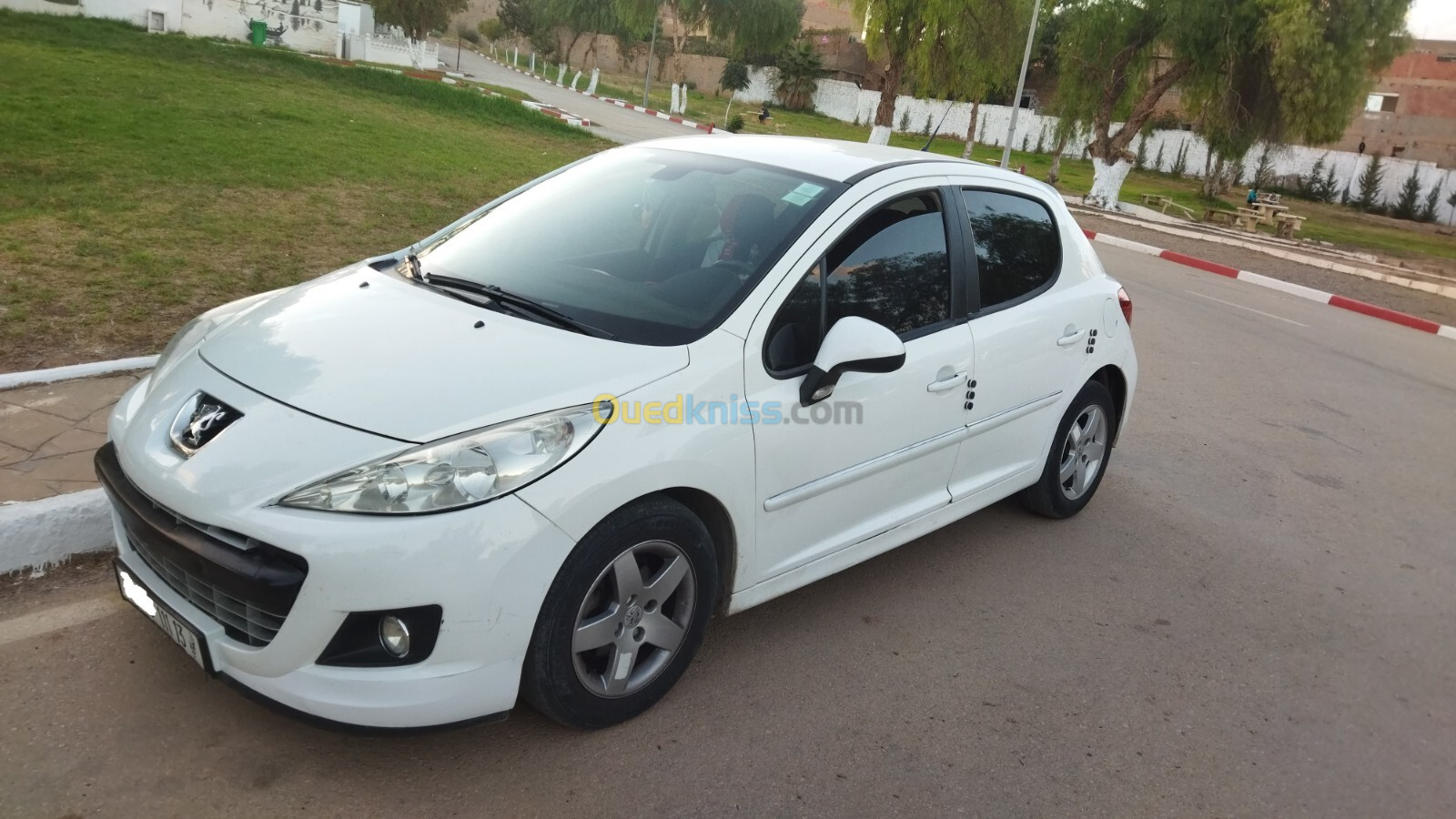 Peugeot 207 2011 207