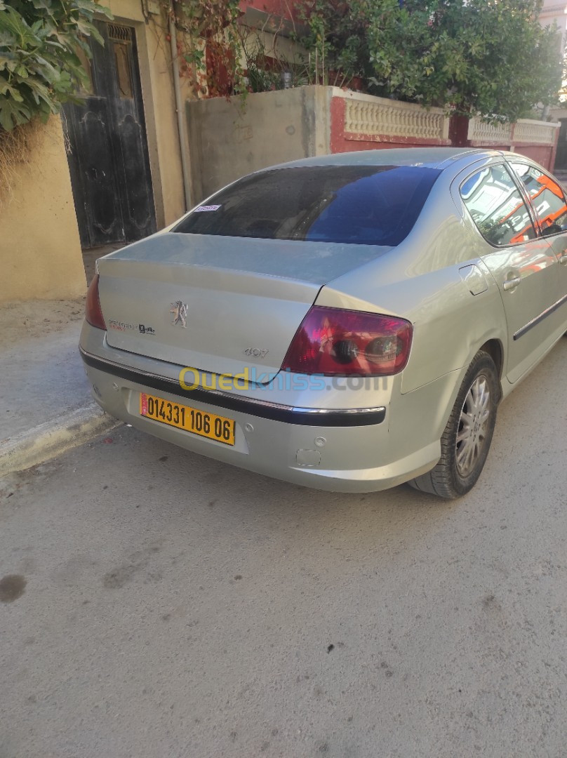 Peugeot 407 2006 407