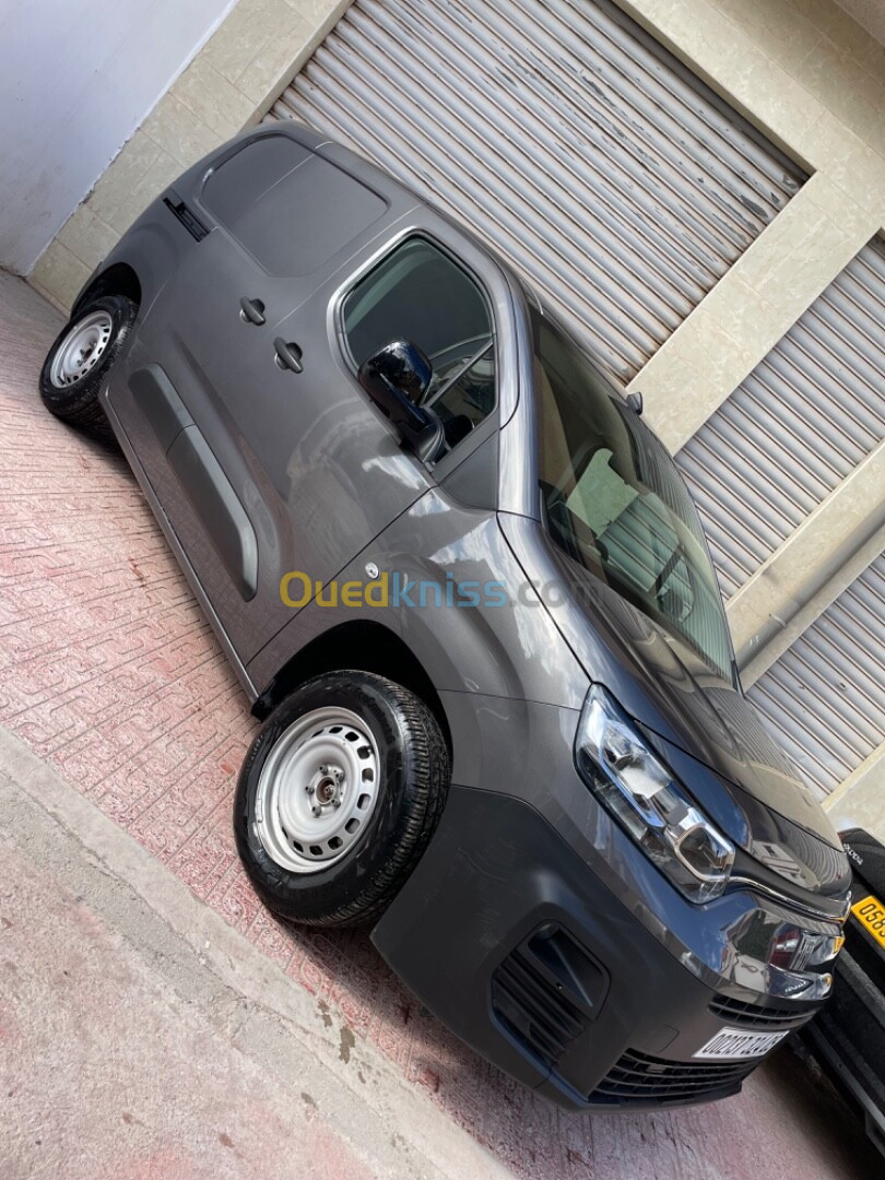 Fiat Doblo 2024 Professionnels