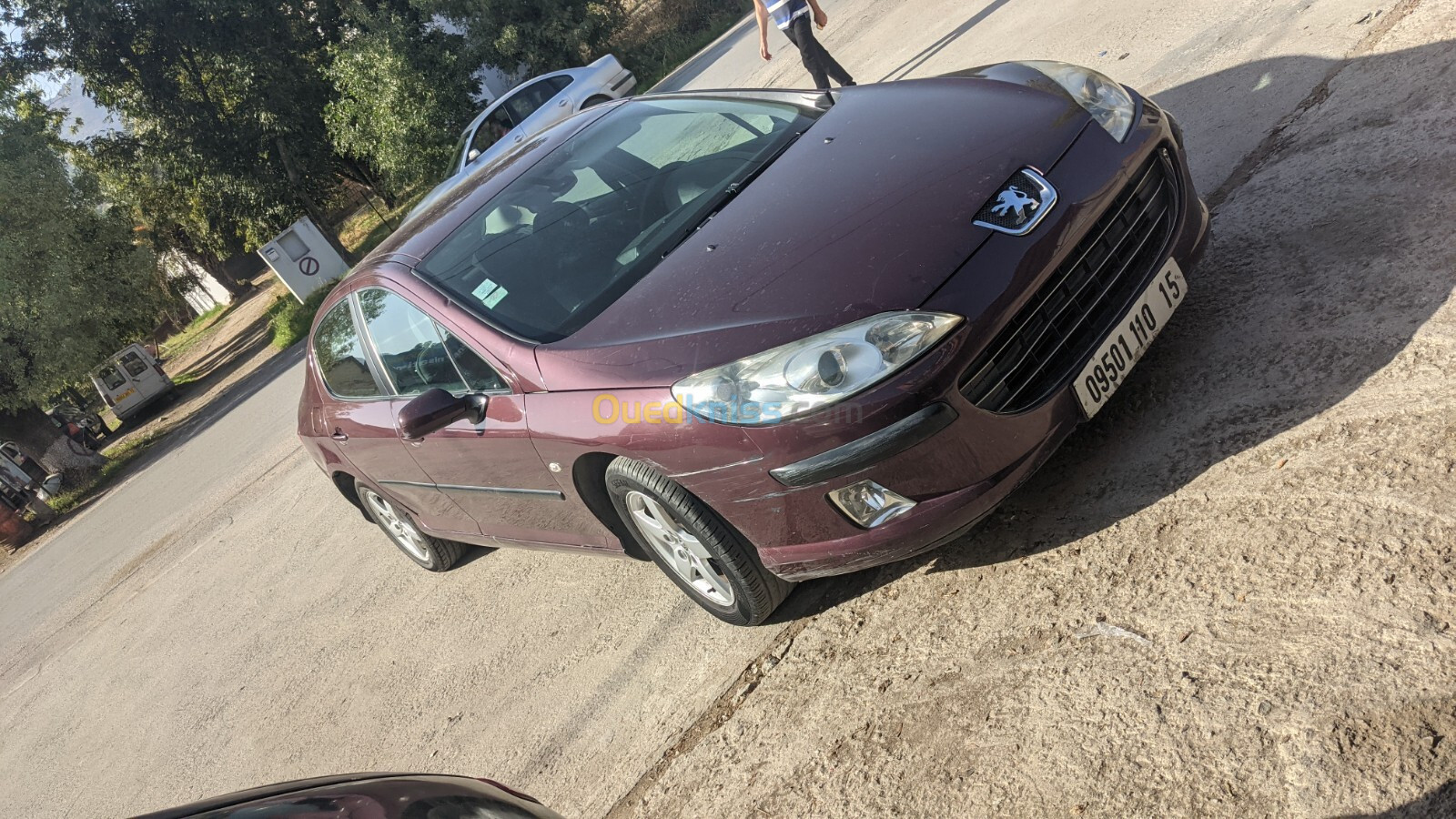 Peugeot 407 2010 407