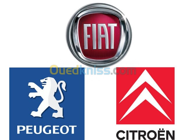 Pièce détaché Fiat Peugeot Citroën 