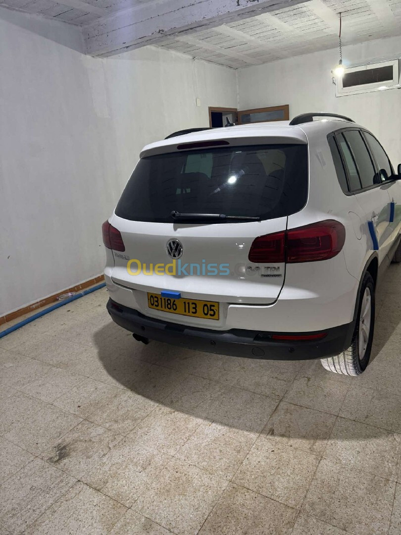 Volkswagen Tiguan 2013 Life