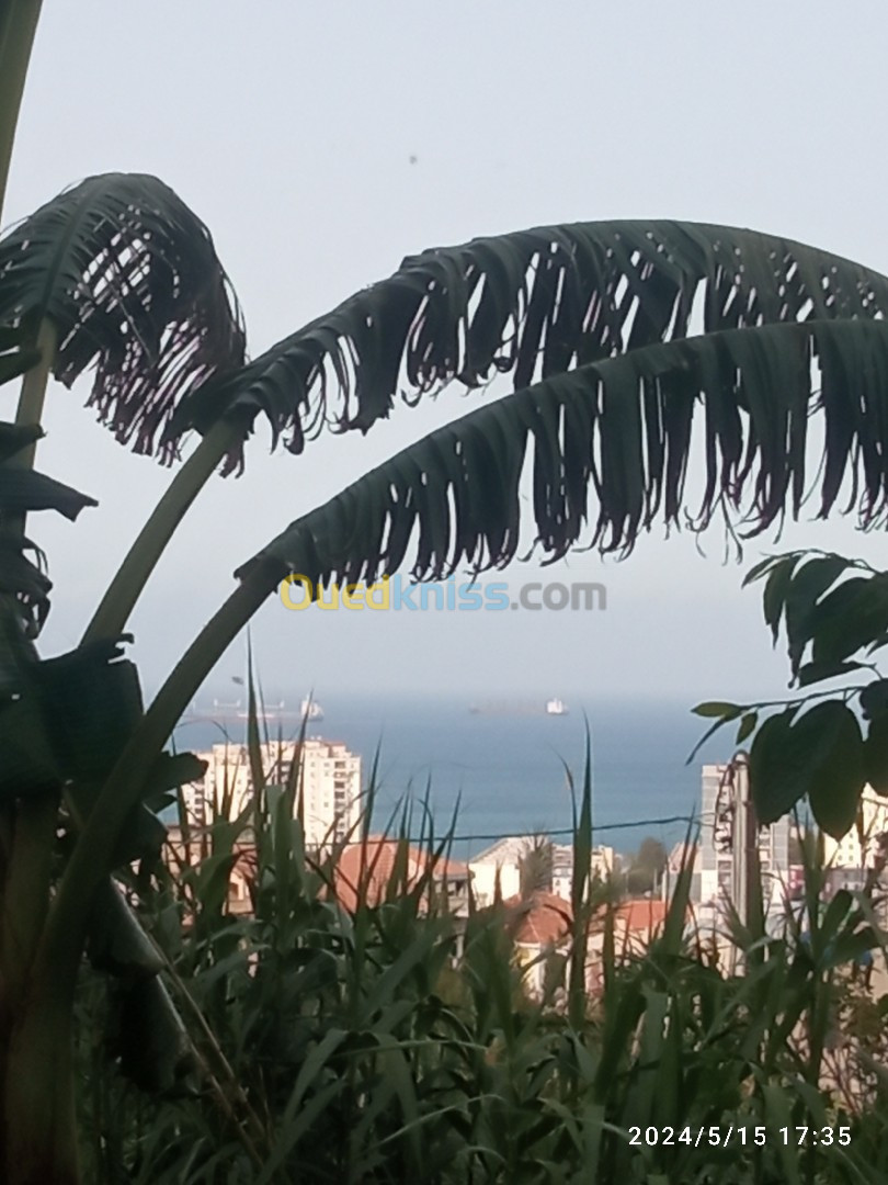 Location Appartement F3 Annaba Annaba