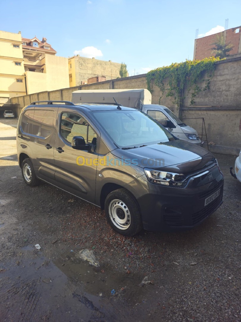 Fiat Doblo 2024 Professional