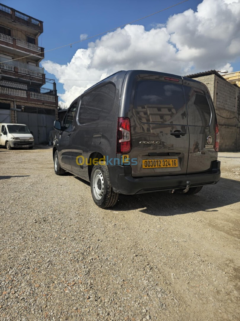 Fiat Doblo 2024 Professional