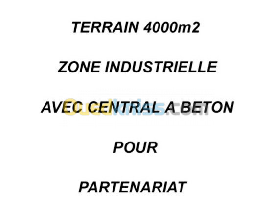 Location Terrain Oran Oued tlelat