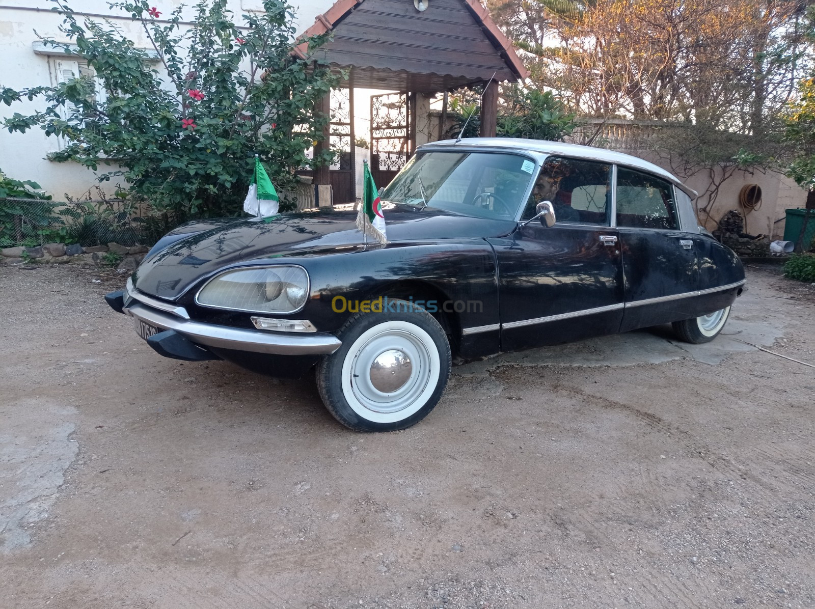 Citroen DS pallas 1975 Ds 21