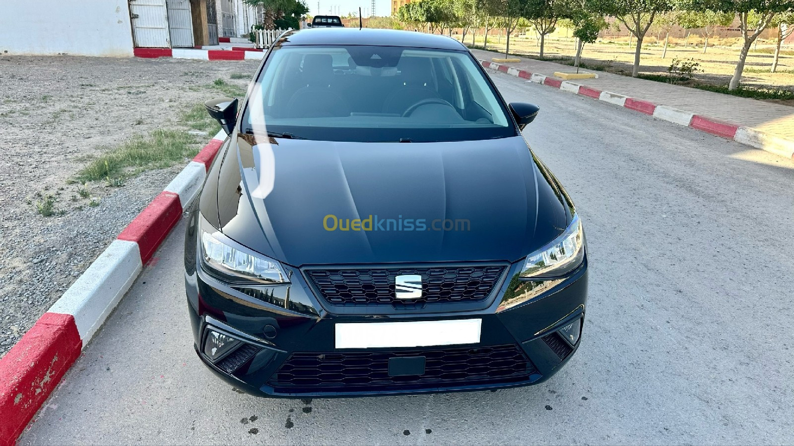 Seat Ibiza 2022 Ibiza