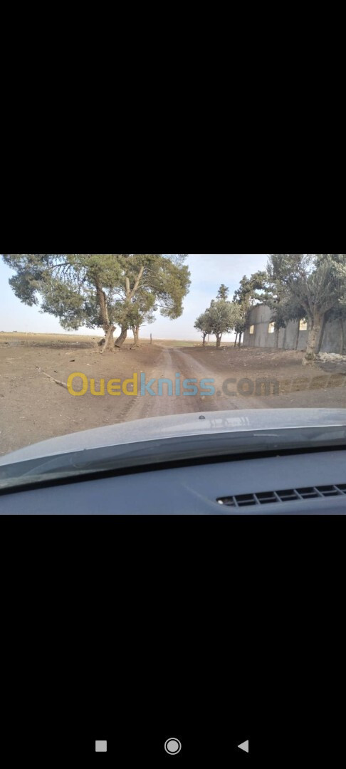 Vente Terrain Agricole Aïn Témouchent Oued sabah