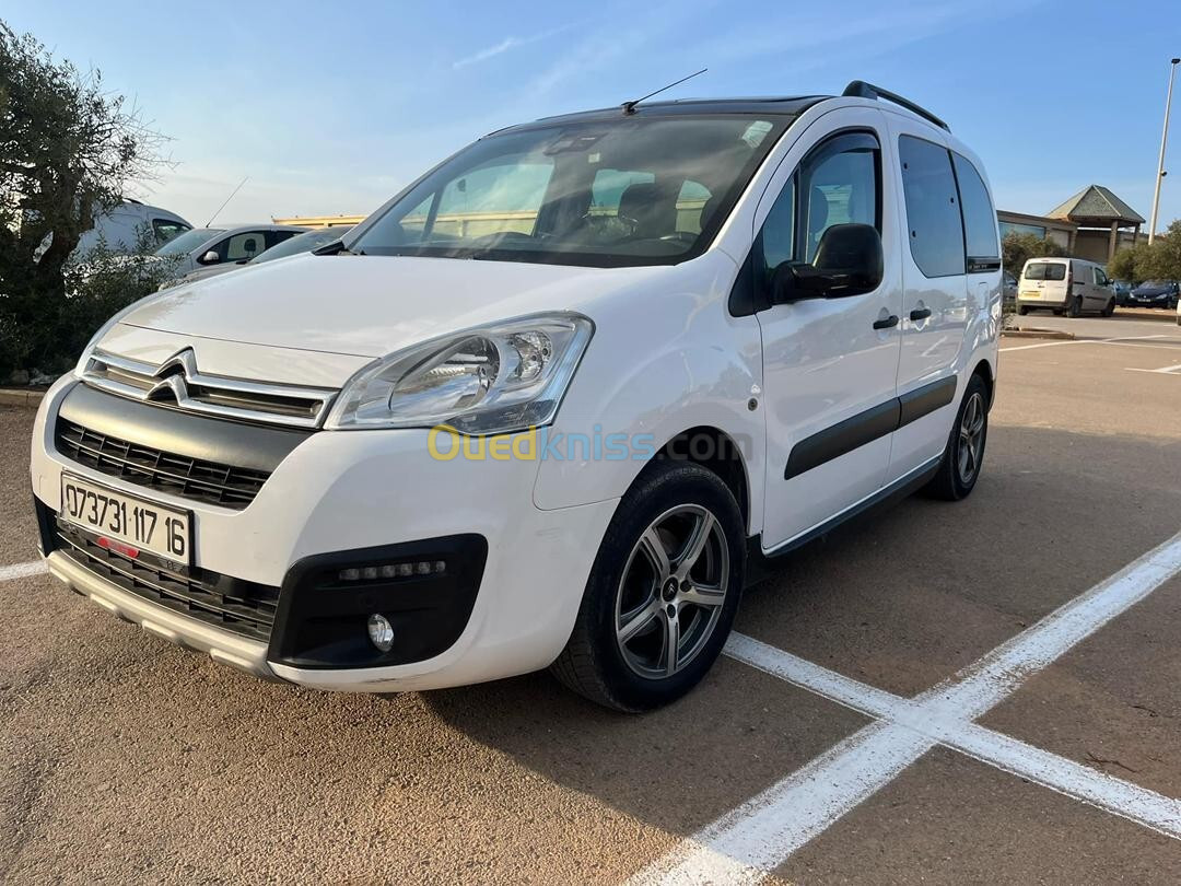 Citroen Berlingo 2017 Berlingo