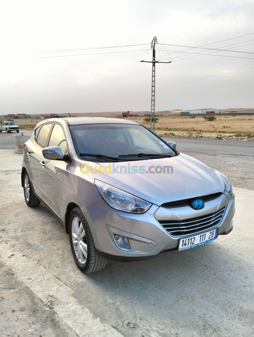 Hyundai Tucson 2011 Tucson