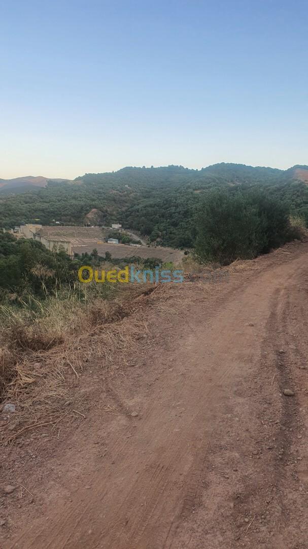 Vente Terrain Boumerdès Beni amrane