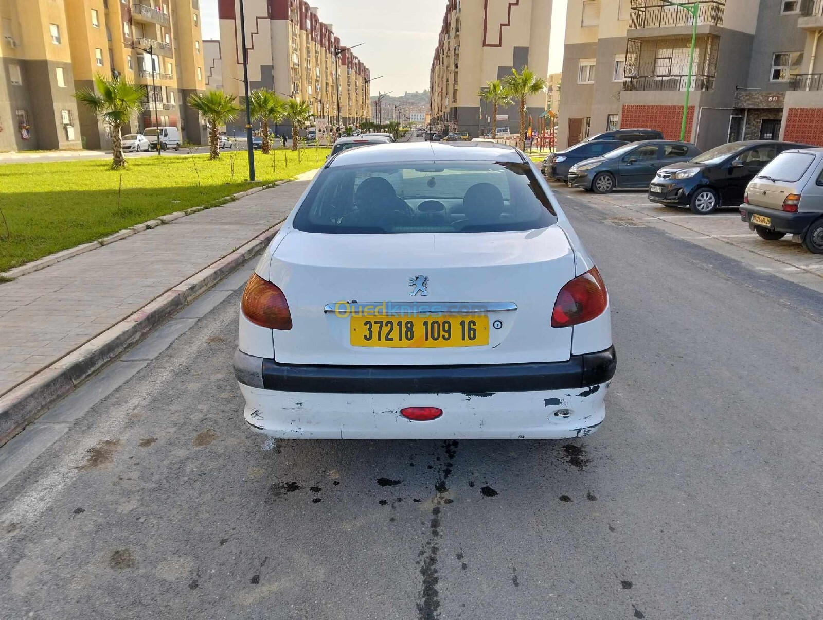 Peugeot 206 Sedan 2009 206 Sedan