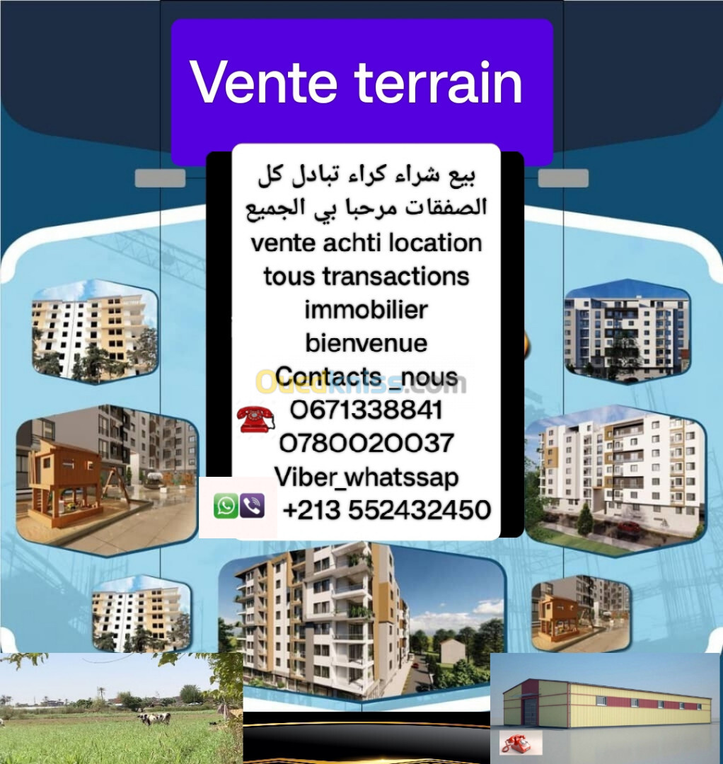 Vente Terrain Alger Kouba