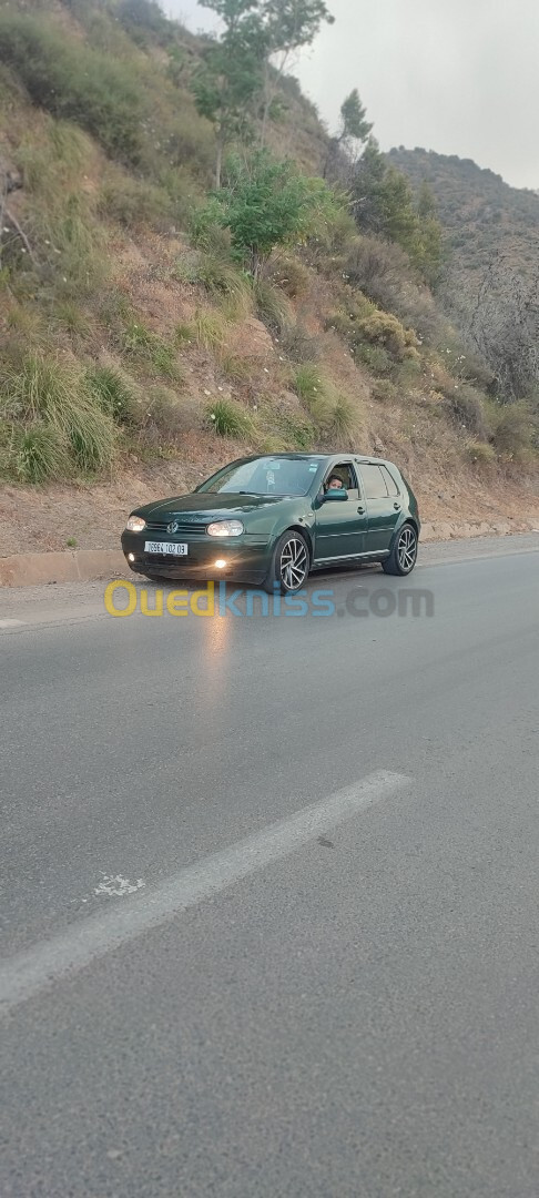 Volkswagen Golf 4 2004 Golf 4