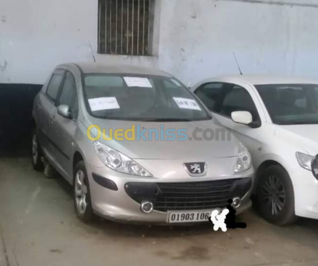 Peugeot 307 2006 307