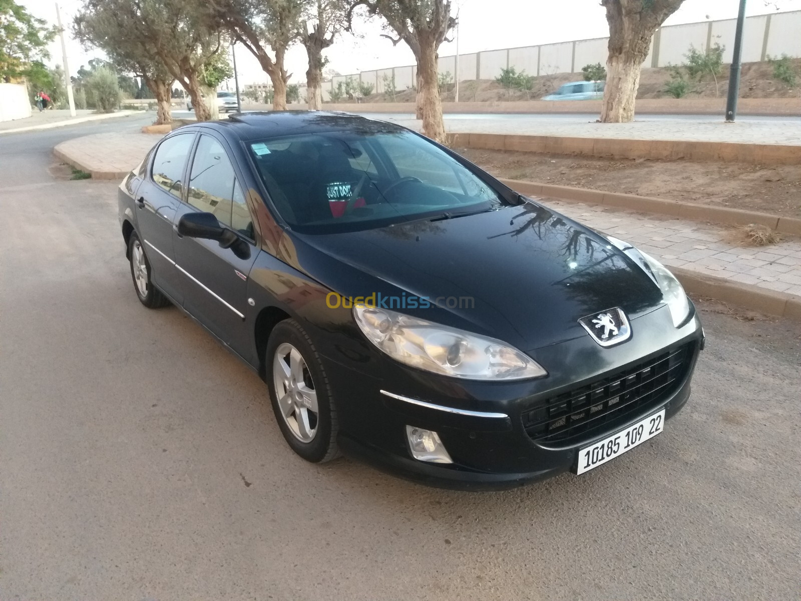 Peugeot 407 2009 