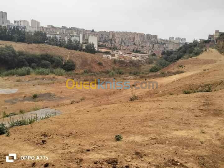 Vente Terrain Alger Saoula