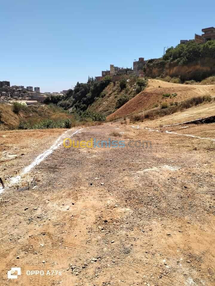 Vente Terrain Alger Saoula