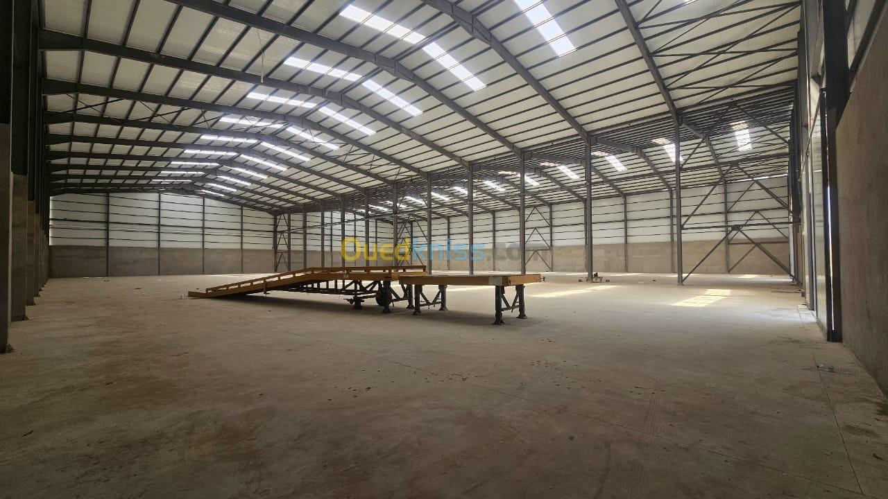 Location Hangar Oran Oran