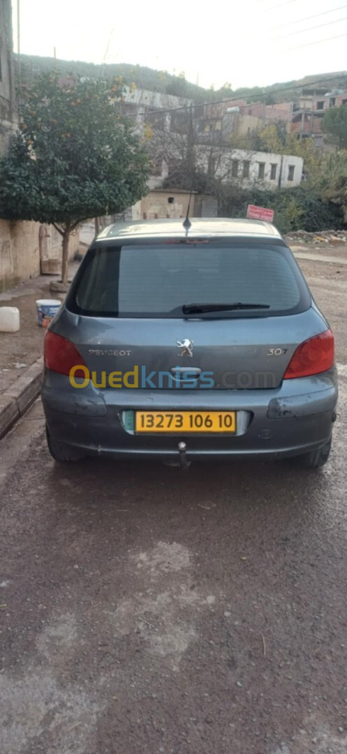 Peugeot 307 2006 307