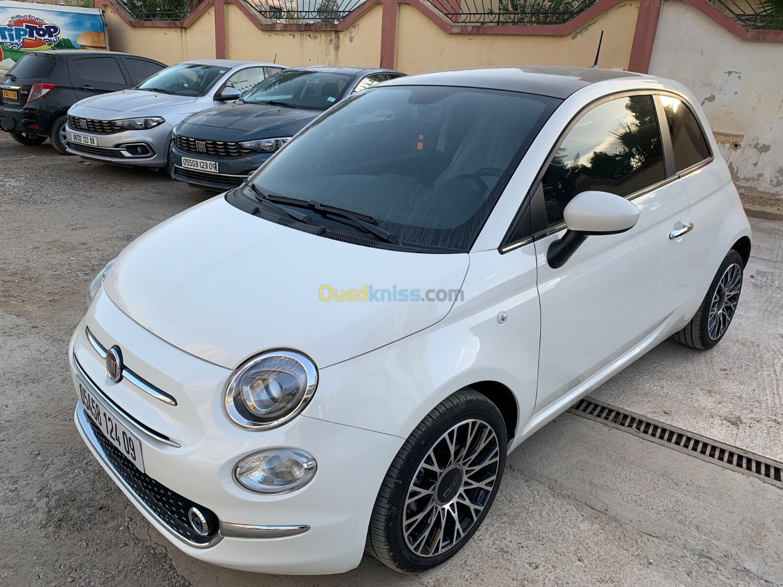 Fiat 500 2024 Dolcevita