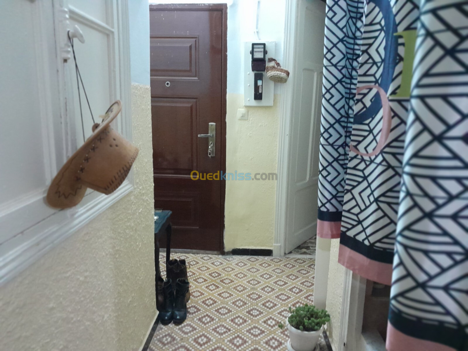 Location Appartement F2 Alger Alger centre