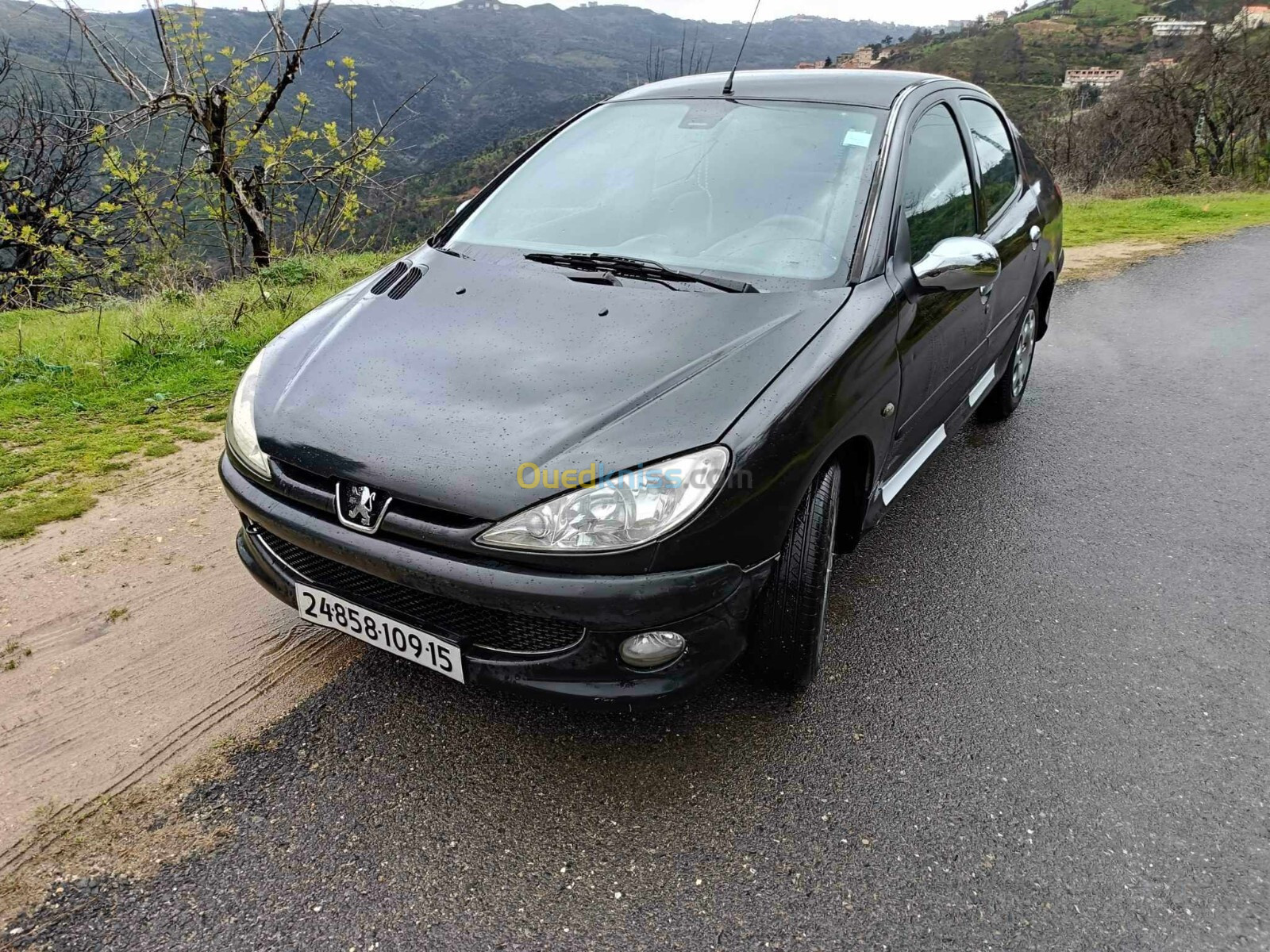 Peugeot 206 Sedan 2009 206 Sedan