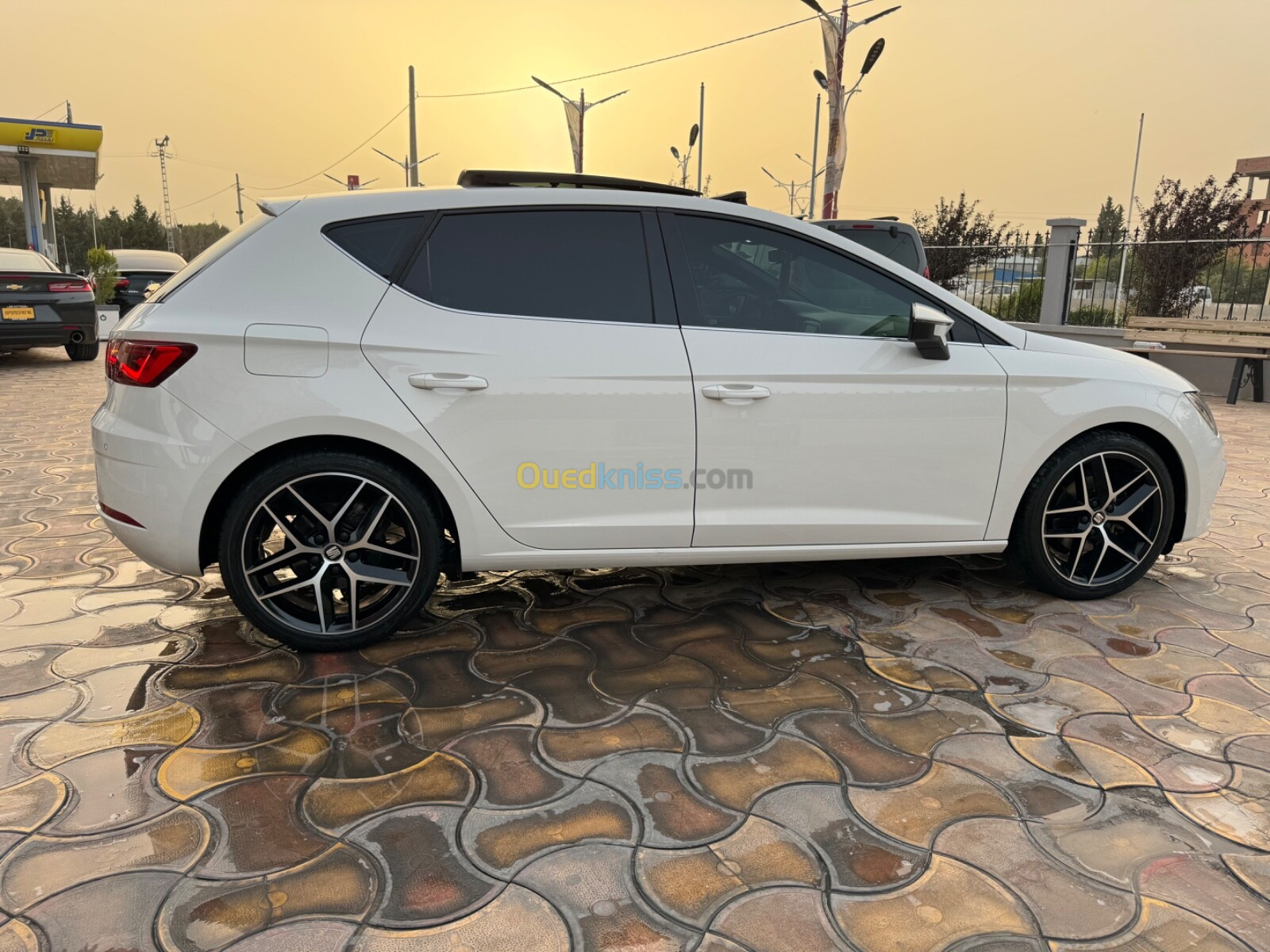 Seat Leon 2019 Betes