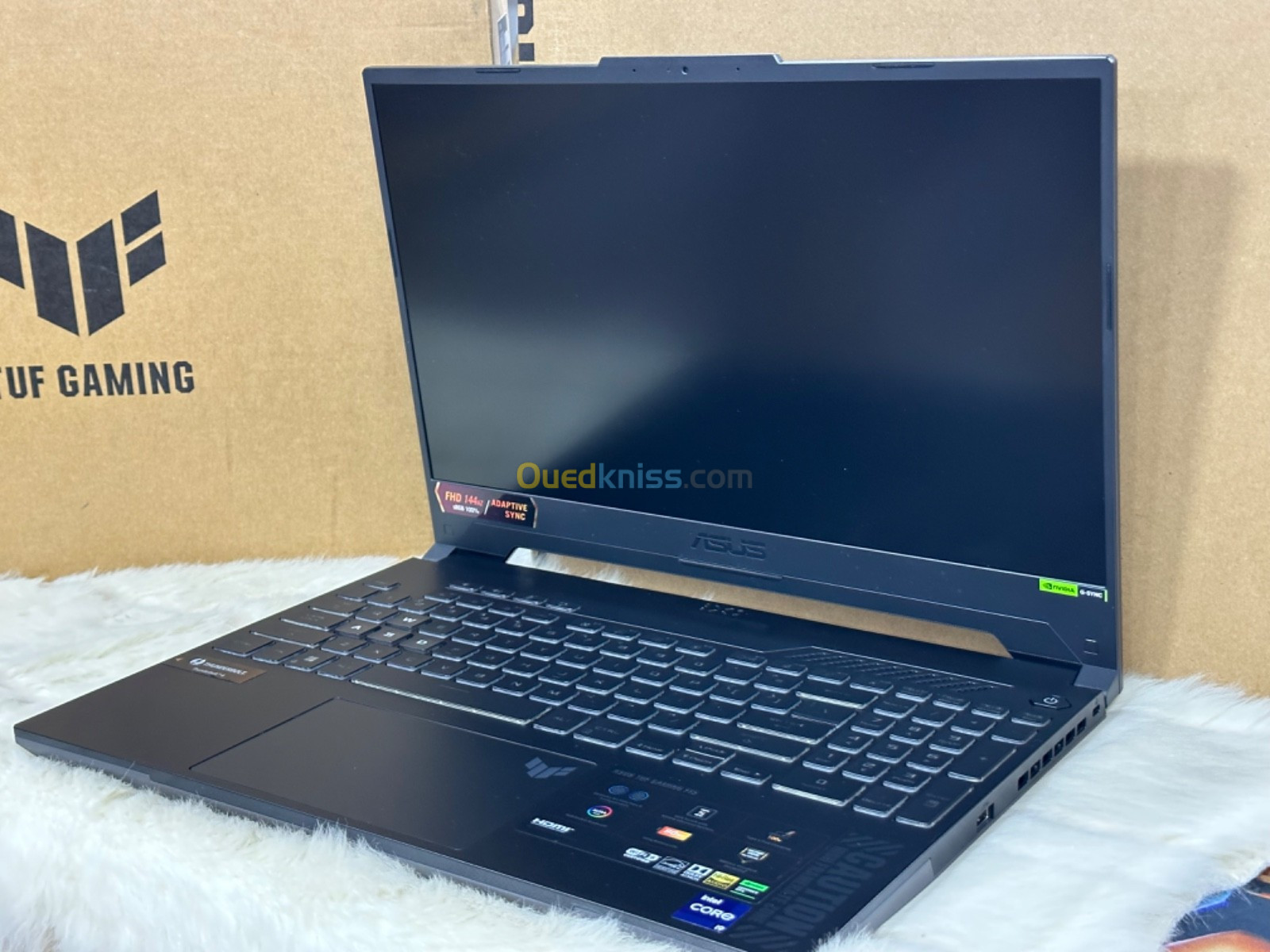 ASUS TUF F15 FA507 I9 13900H 16GO 1TO SSD NVIDIA GEFORCE RTX4060 8GO 