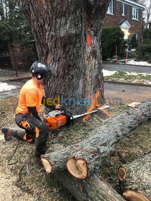 Abattage et Taille des arbres 