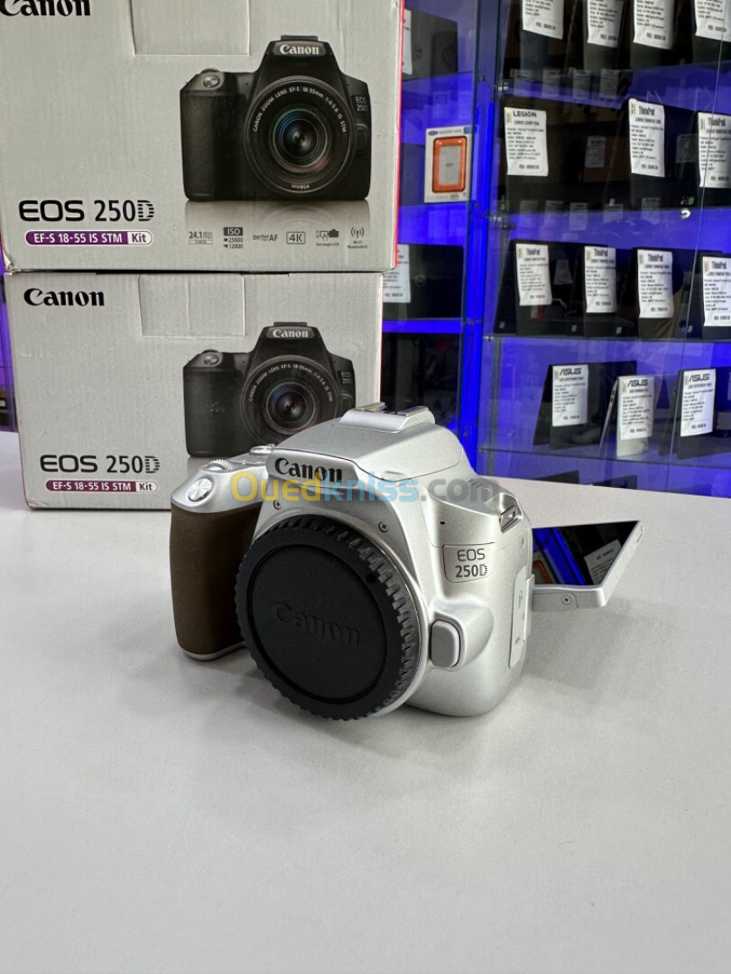 Canon EOS 250D & 18-55mm IS STM 24.1MP UHD 4K GREY EDITION